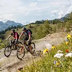 Marmotta Alpin Mühlbach am Hochkönig