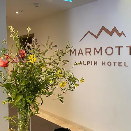 酒店 Marmotta Alpin 2*