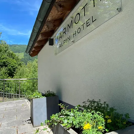 Marmotta Alpin 2* Mühlbach am Hochkönig