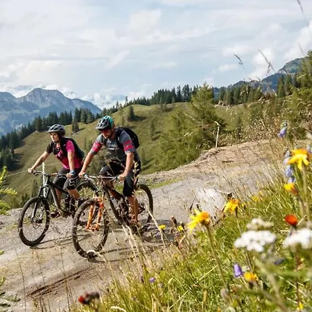 Marmotta Alpin Mühlbach am Hochkönig