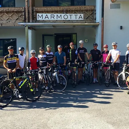 Marmotta Alpin