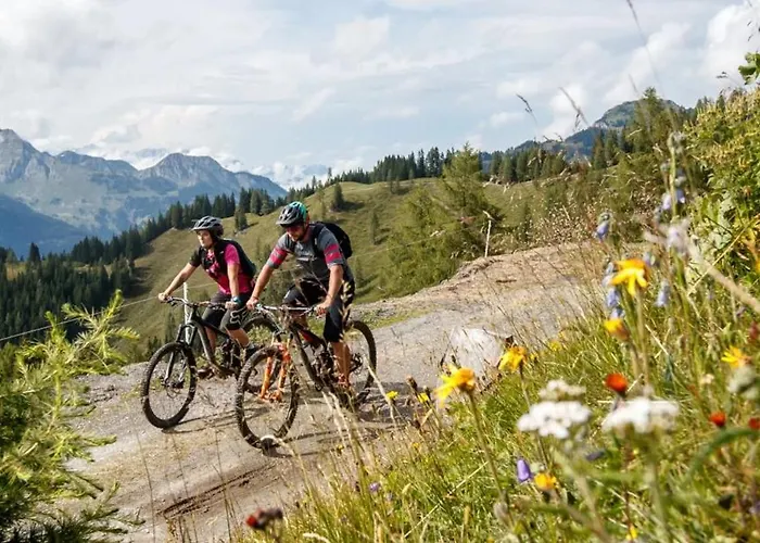 Marmotta Alpin Mühlbach am Hochkönig
