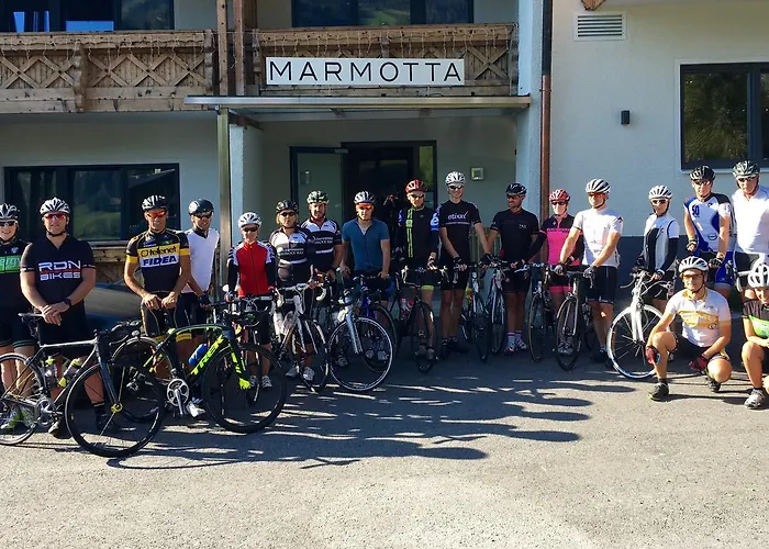 Marmotta Alpin